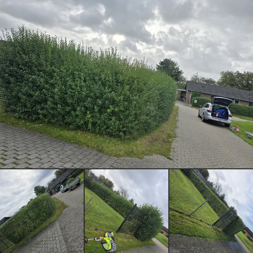 Hækkeklip